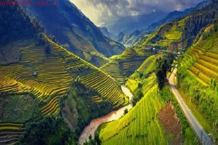 Hotspot Matrix: Cánh cửa vàng cho Nghệ sĩ Đường phố