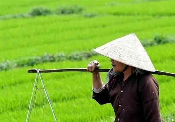 Từ Loài cá kỳ lạ nhất châu Phi: đến chiến lược content: Hotspot Matrix chia sẻ
