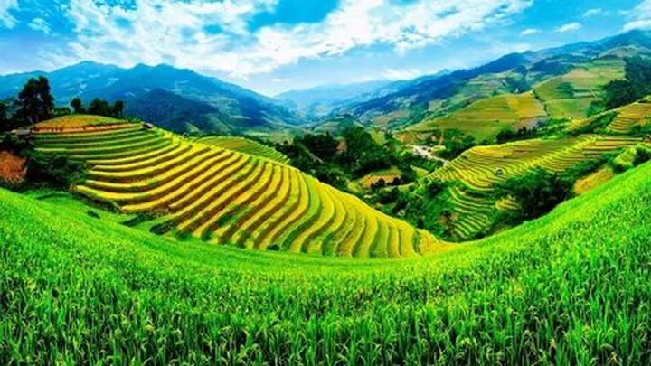 Hotspot Matrix và Niềng răng đẹp tự tin tại Nha Khoa Kim